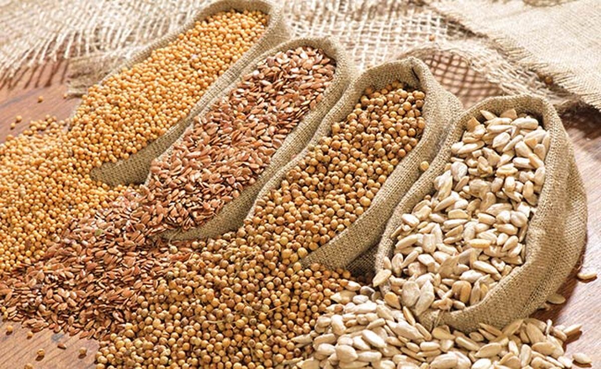 قیمت نهاده های دامی و محصولات کشاورزی ۷ آذر ۱۴۰۳+ جدول

