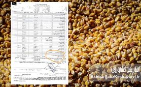 شوک فیش‌های بیمارستانی؛ هزینه نهاده های دامی از جیب بیماران!