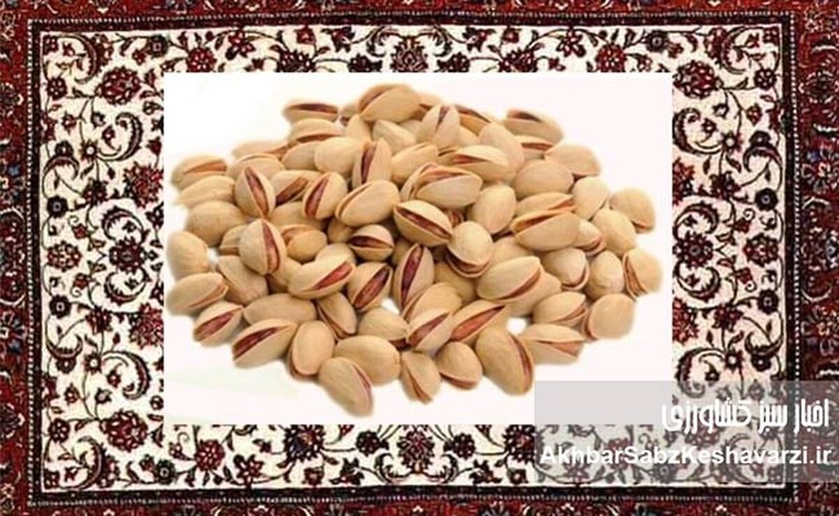 خبر خوش برای پسته و فرش ایران: تجارت ایران و اتریش ۵ درصد رشد کرد!