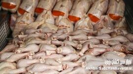 دریچه جدید تأمین پروتئین: واردات گوشت و مرغ از ترکیه تأیید شد