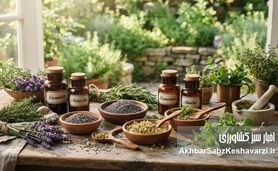 گیاهان دارویی جایگزین مناسبی برای داروهای شیمیایی+ویدئو