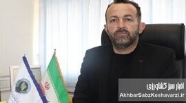 واردات بی‌رویه گوشت: تیری به قلب دامداران ایرانی؟+ ویدئو