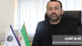 واردات بی‌رویه گوشت: تیری به قلب دامداران ایرانی؟+ ویدئو