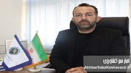 سفره مردم قربانی بی تدبیری در نهاده های دامی 