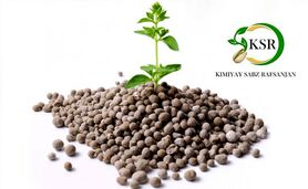 هم‌صدایی تولیدکنندگان کود سولفات آمونیوم