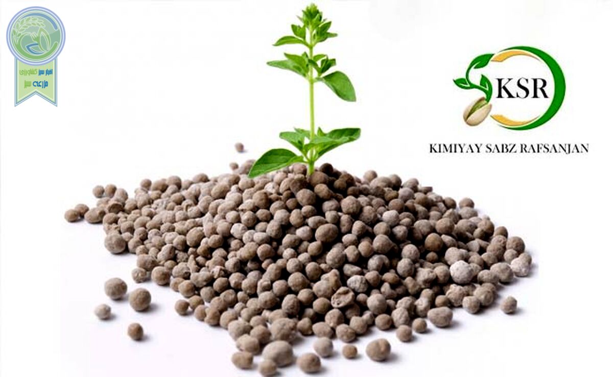 هم‌صدایی تولیدکنندگان کود سولفات آمونیوم