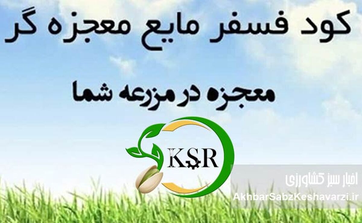 سبد محصولات کیمیای سبز رفسنجان؛ گامی بلند به سوی خودکفایی کشاورزی
