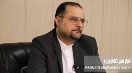 شوک عرضه نفتی: هدف اول بازار مواد غذایی