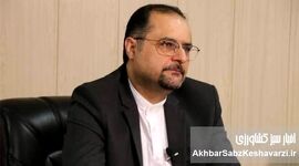تأثیرات منطقه ‌ای جنگ ایران و چشم‌انداز امنیت غذایی افغانستان