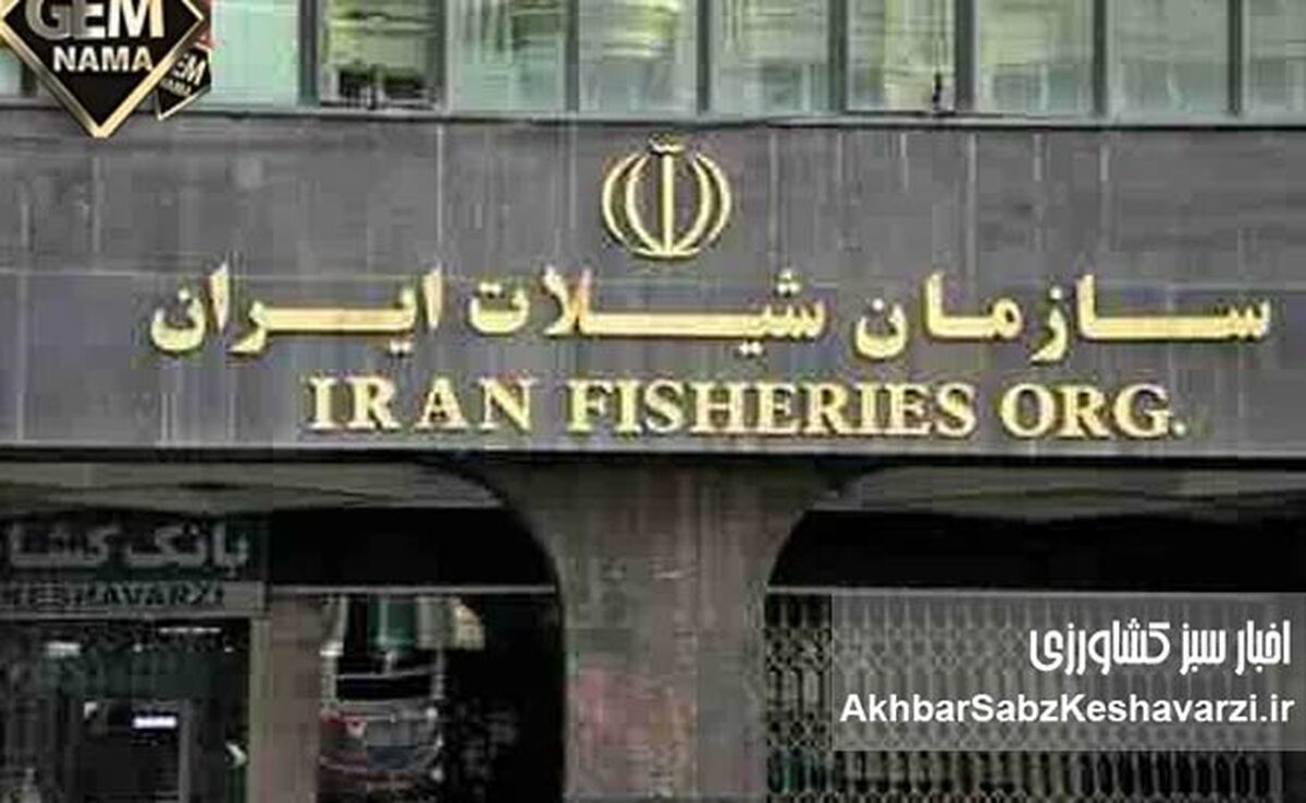 انحلال سازمان شیلات ایران؛ ضربه‌ای مهلک بر پیکره اقتصاد و امنیت غذایی کشور؟