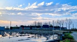 شالیزارهای ویران مازندران

