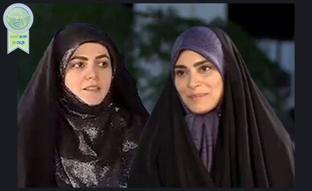 تفاوت ادبیات دختر قالیباف و دختر پزشکیان+ ویدئو 