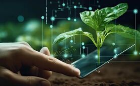 هوش مصنوعی و یادگیری ماشینی در کشاورزی

