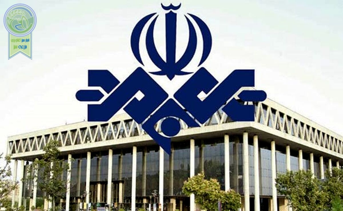صداوسیما پنجمین شرکت زیان‌ده دولتی در کشور+ نمودار

