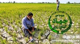فروپاشی کشاورزی ایران در یک‌سال: ناکارآمدی، فساد ساختاری و درخواست استیضاح وزیر