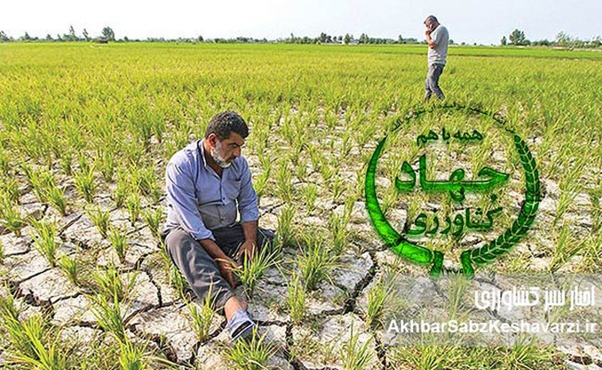 فروپاشی کشاورزی ایران در یک‌سال: ناکارآمدی، فساد ساختاری و درخواست استیضاح وزیر