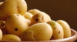 این سیب زمینی‌ها را هرگز نخورید