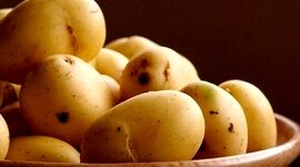 این سیب زمینی‌ها را هرگز نخورید