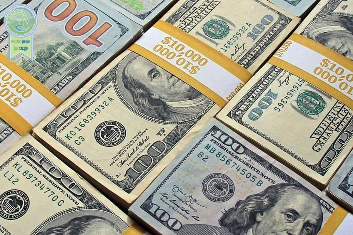بازار خرید و فروش دلار و یورو پنج شنبه 9 فروردین ۱۴۰۳+ جدول
