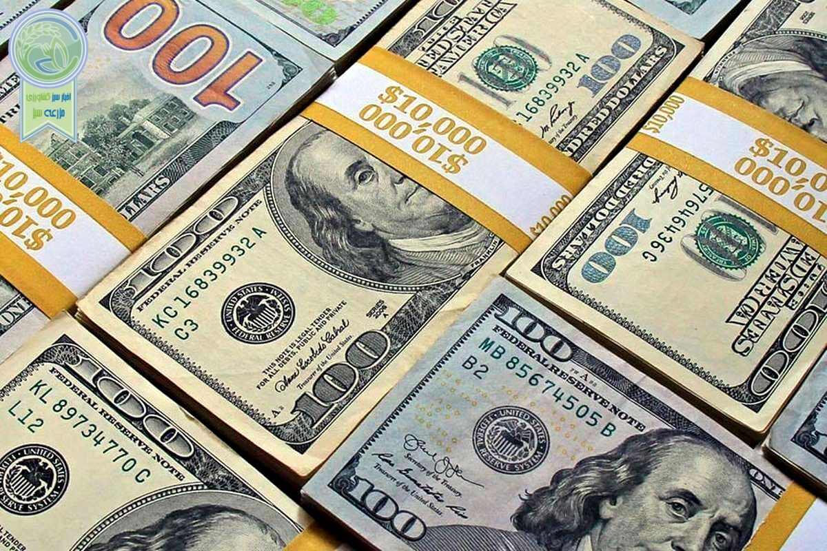بازار خرید و فروش دلار و یورو شنبه 11 فروردین ۱۴۰۳+ جدول
