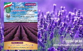 جشنواره ملی اسطوخودوس؛ سفر به بنفش‌ترین مزرعه ایران در آزادشهر