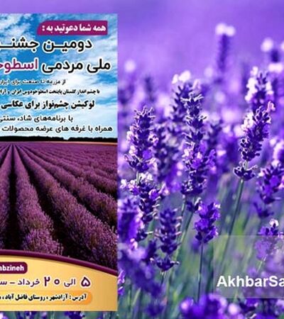 جشنواره ملی اسطوخودوس؛ سفر به بنفش‌ترین مزرعه ایران در آزادشهر