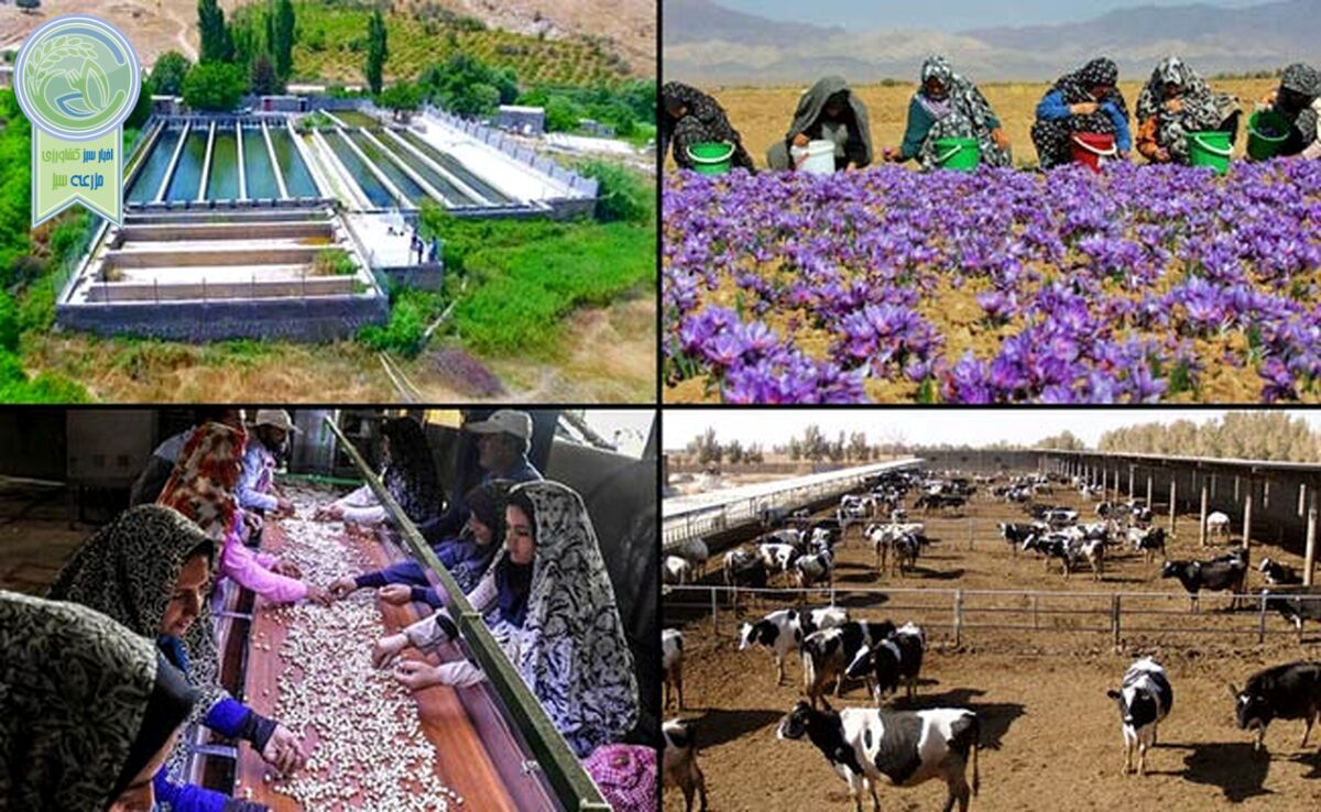 هفته دولت ۷۹ پروژه توسط تعاون روستایی افتتاح و کلنگ‌زنی می‌شود

