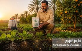 نقش تغذیه آلی و زیستی در کاهش مصرف سموم کشاورزی