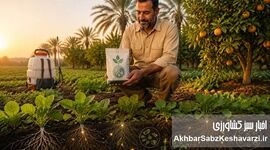 نقش تغذیه آلی و زیستی در کاهش مصرف سموم کشاورزی
