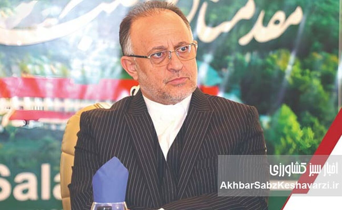 بازگشت پرقدرت صنعت چوب و کاغذ مازندران به ریل اصلی تولید