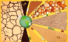 درس‌هایی از مواجه کشورها با بحران‌ها و تجارب امنیت غذایی

