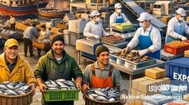 تلاش برای نجات مزارع ماهی از قطعی برق؛ درخواست فوری شیلات برای تخصیص سهمیه سوخت