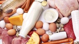 بحران در راه است؛ هشدار اتحادیه آوندا به بانک مرکزی درباره تأخیر در تخصیص ارز نهاده‌های دامی