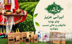 کشاورز چایکار فومنی، تنها در صنعت چای+ویدئو