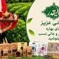 کشاورز چایکار فومنی، تنها در صنعت چای+ویدئو