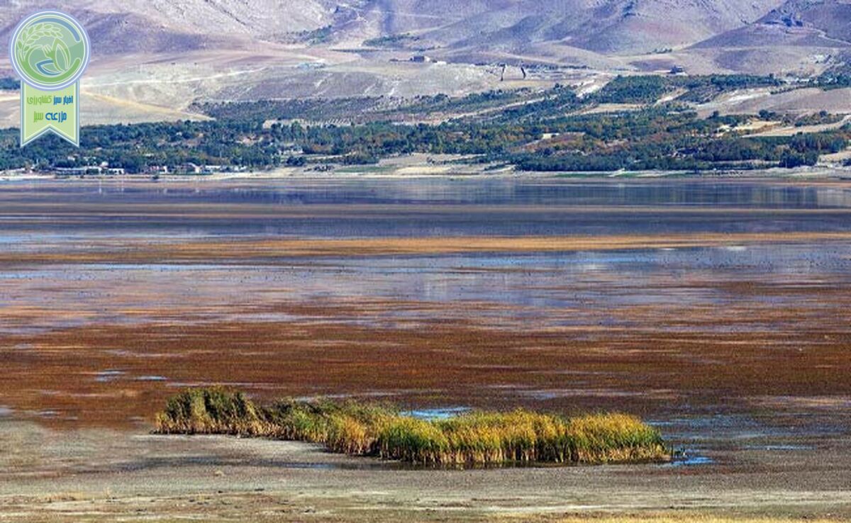 هشدار بیابان‌شدن «دُرگه‌سنگی» 

