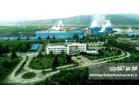 شرکت صنایع چوب و کاغذ مازندران (MWPI)؛ پیشگام تولید ملی+ ویدئو