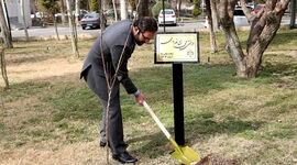 روز درختکاری، فرصتی برای تجدید پیمان بانک کشاورزی با طبیعت و توسعه پایدار