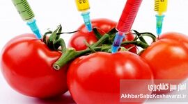 تراریخته‌ها و ترس ایرانی‌ها؛ وقتی نگرانی سلامت بر تصمیم خرید غلبه می‌کند