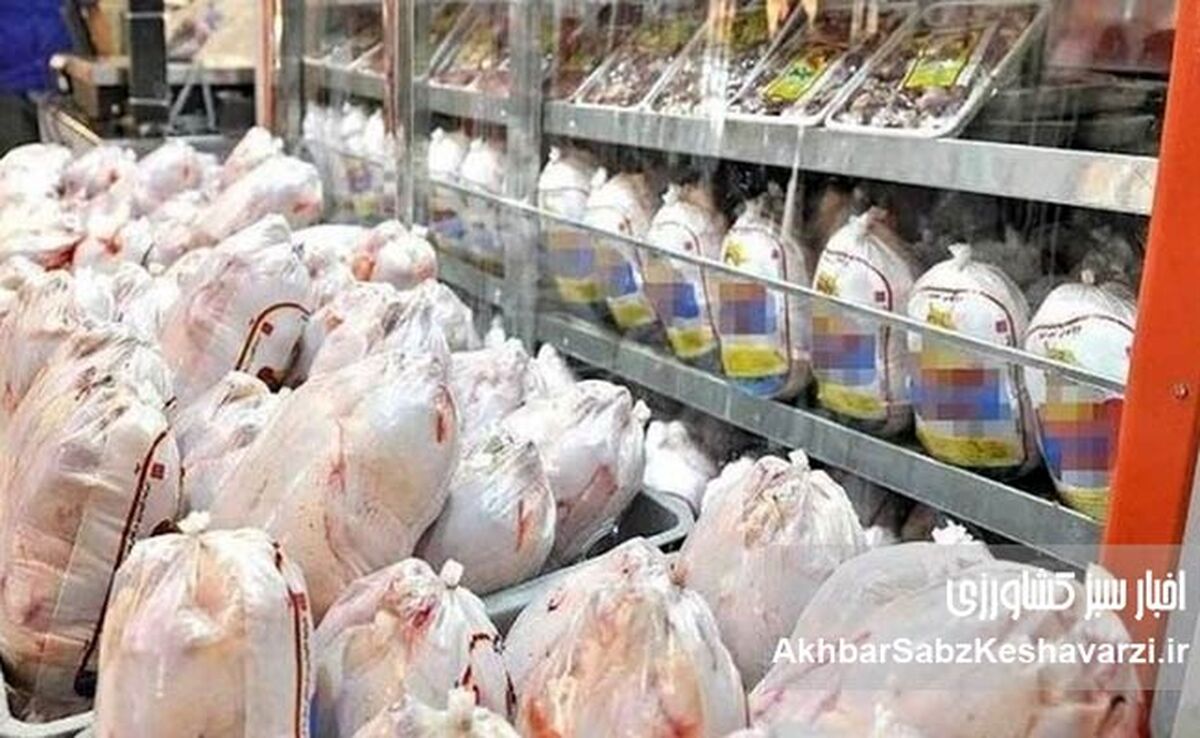 قیمت مرغ کاهشی شد؟ جدیدترین قیمت مرغ در بازار
