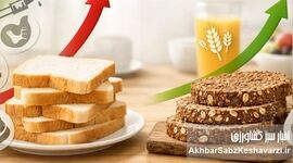 صبحانه‌ای که قند خون را منفجر می‌کند؛ نان سفید را کنار بگذارید