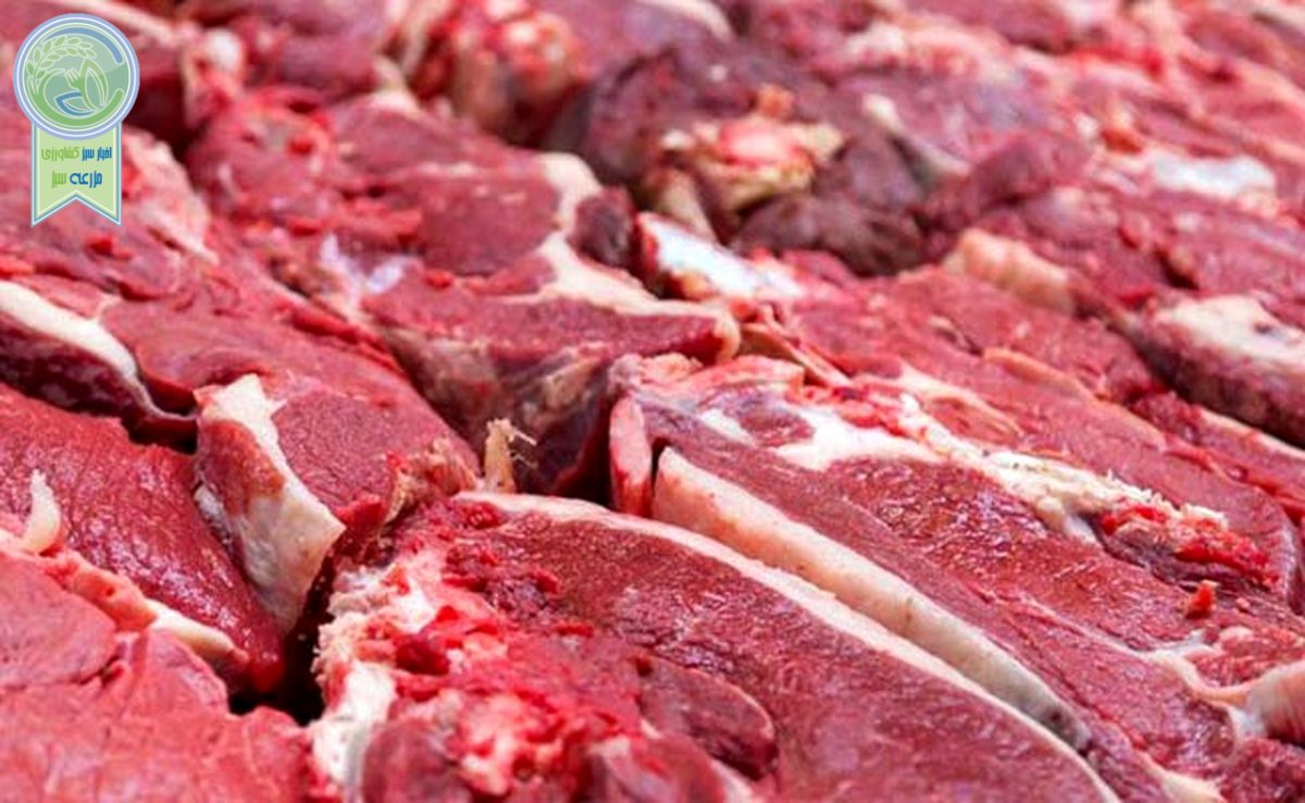 قیمت روز گوشت قرمز در ۳ اردیبهشت ۱۴۰۳+جدول 

