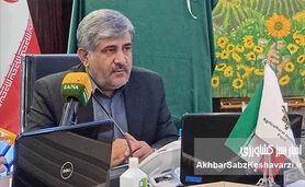 مهندس اوسطی: طرح بیمه فراگیر گندم نقطه آغاز تحول بزرگ در کشاورزی