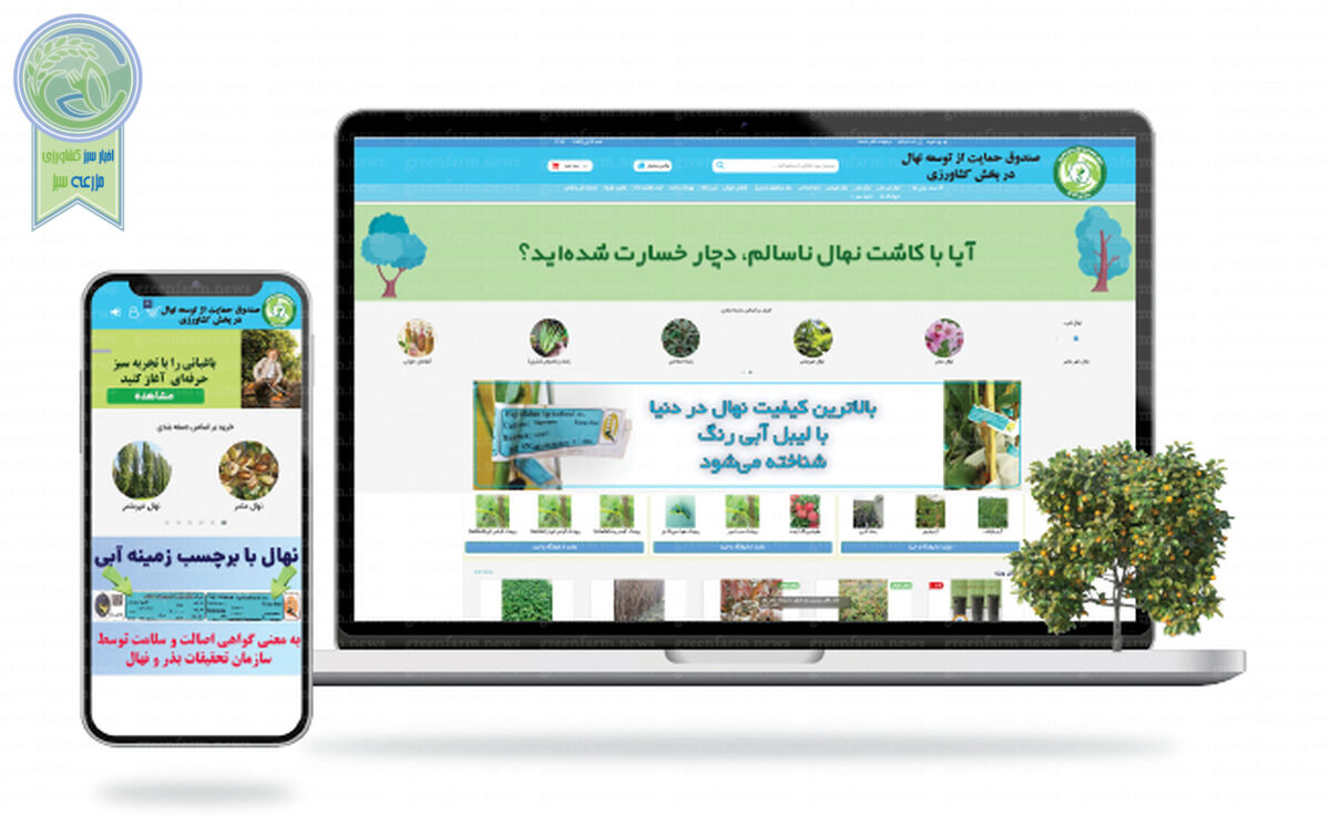 حمایت از تولید 2 میلیون اصله نهال گواهی‌شده براساس برنامه هفتم
