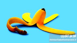 کاربردهای غیرخوراکی پوست موز؛ از زیبایی تا خانه‌داری