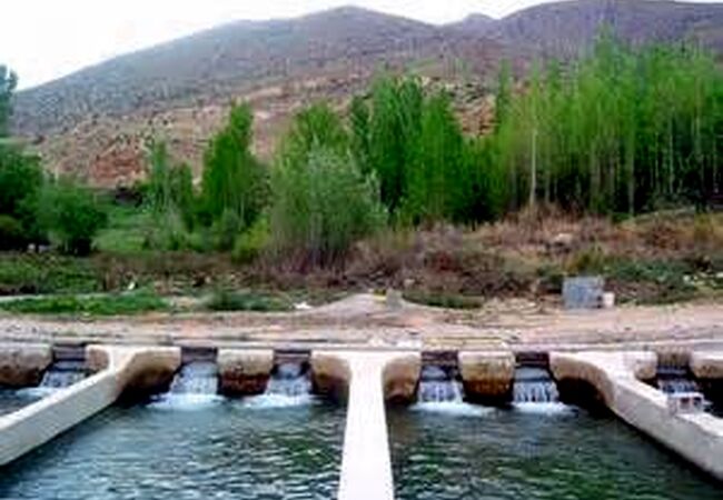 انقلاب گونه‌های بومی در مزارع  پرورش ماهی