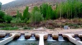 شناسنامه‌دار کردن مزارع چگونه صنعت آبزی‌پروری را متحول می‌کند؟