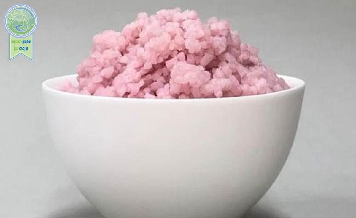 ابداع برنج گوشتی در کره جنوبی

