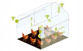 تغذیه دقیق مرغ‌ها در مرغداری‌های هوشمند

