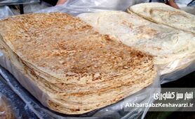 نان یارانه‌ای در آخور دام؛ چرا دامداران به جای جو و ذرت، نان می‌خرند؟